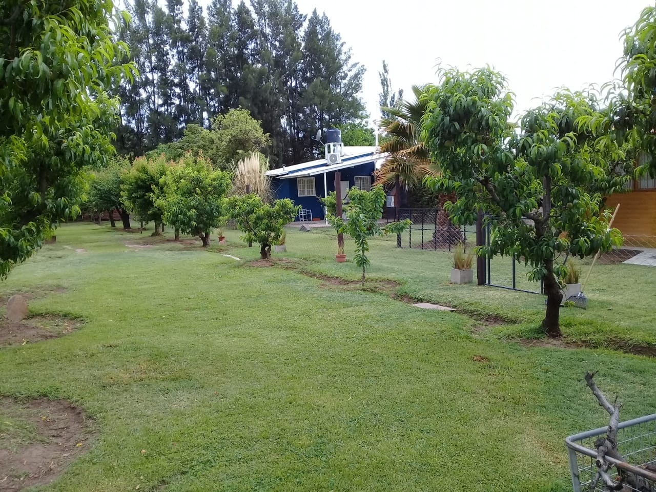 Cabañas La Palmera - foto de las cabañas 1