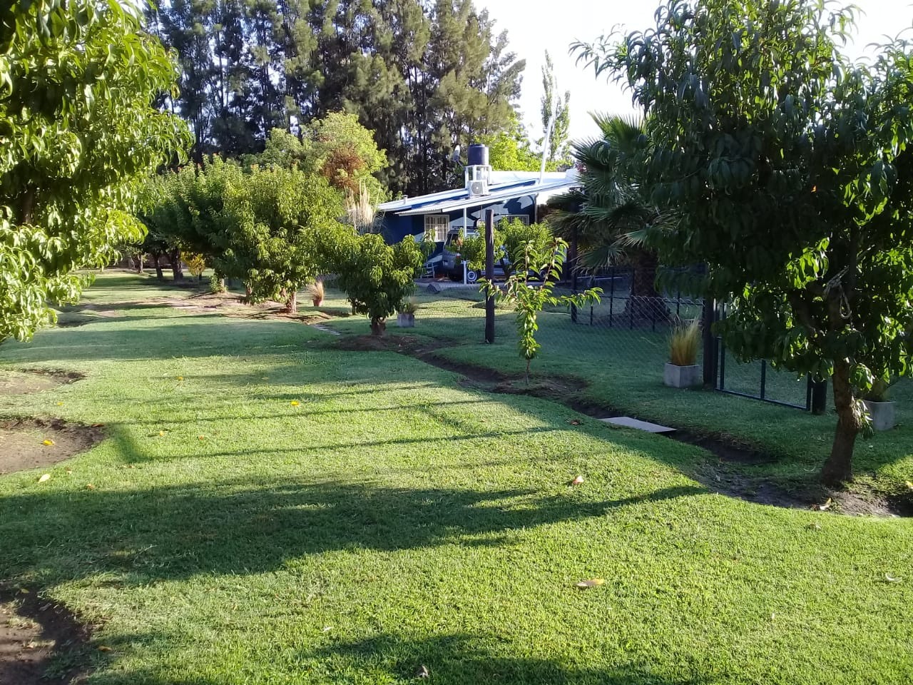 Cabañas La Palmera - foto 20